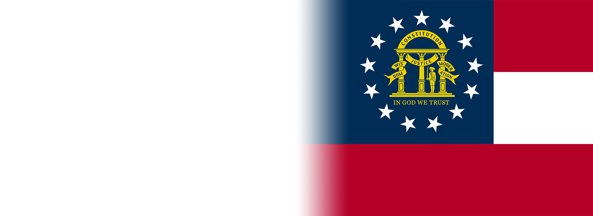 GA State Flag Banner