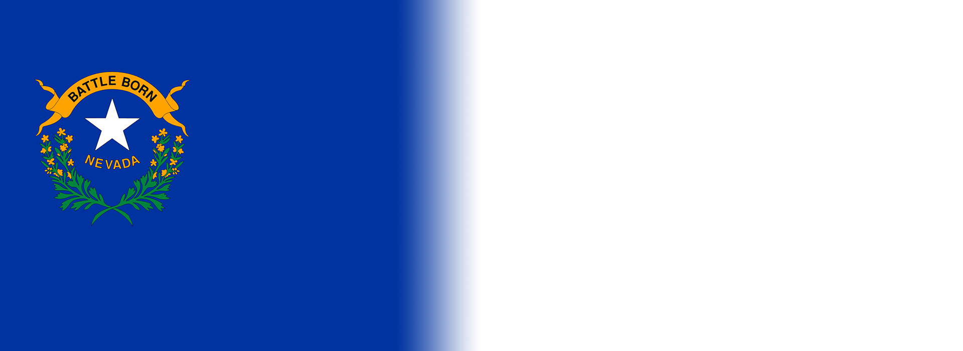 NV State Flag Banner