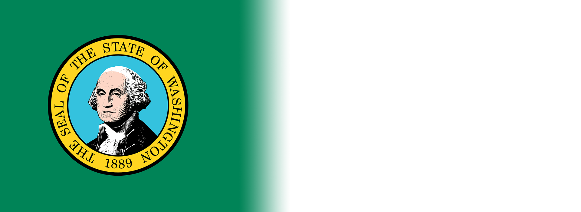 WA State Flag Banner