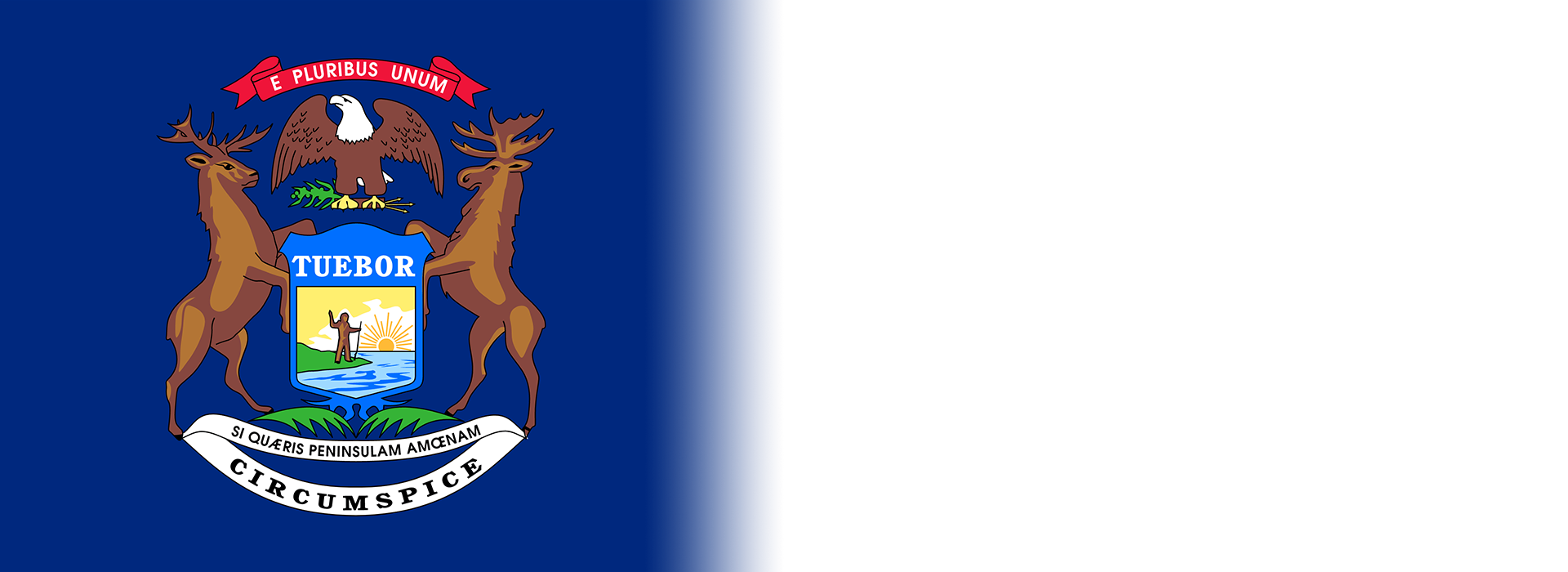 MI State Flag Banner